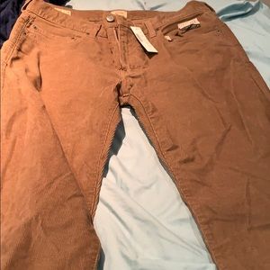 J CREW MENS CORDUROY PANTS